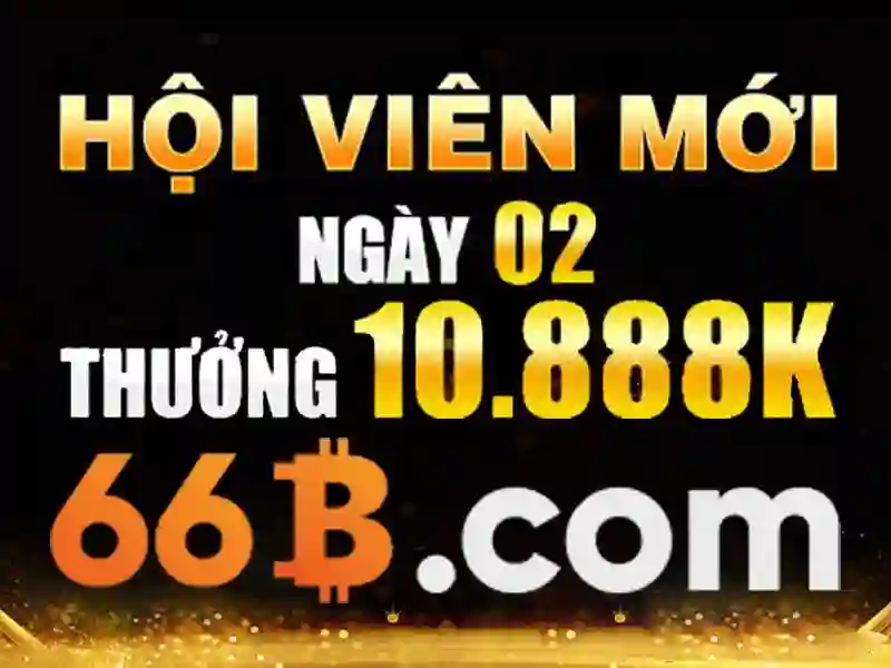  SEO - 66B