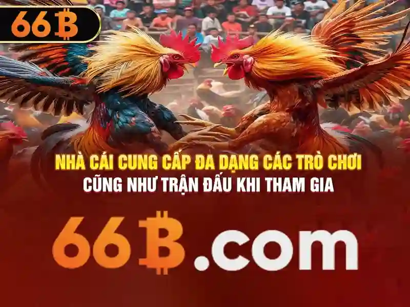 đổi thưởng - 66B