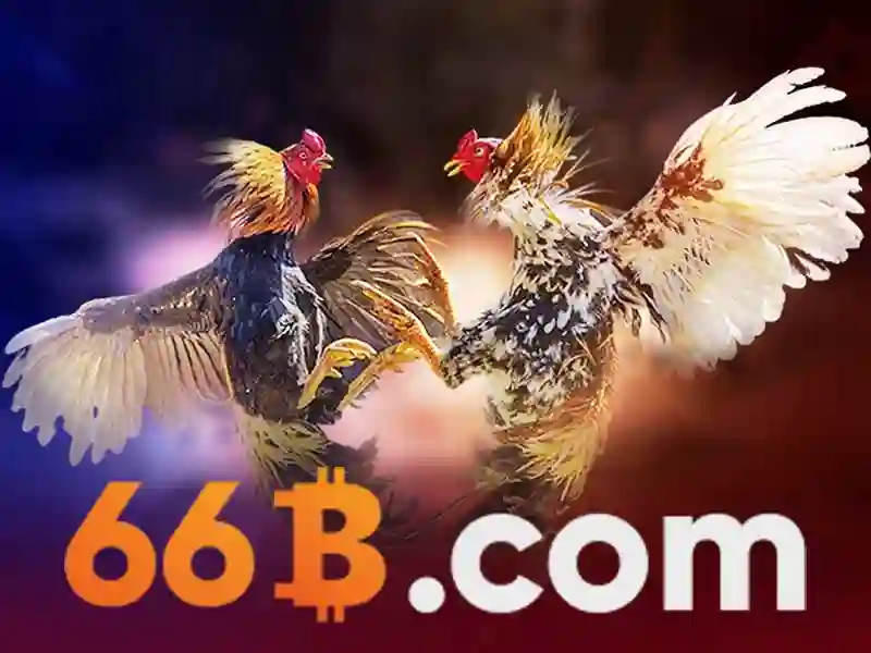  đăng ký 66B - 66B