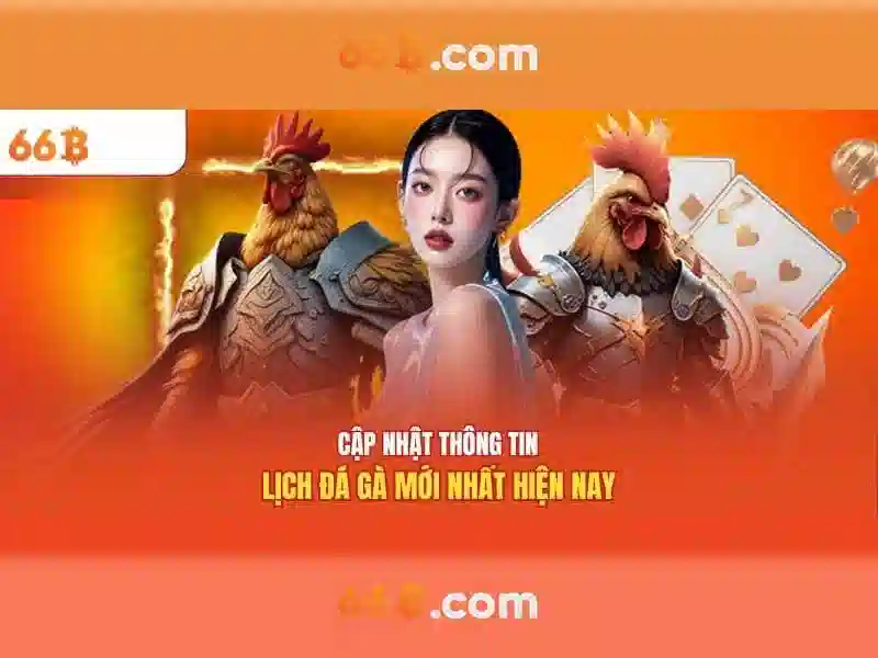  nhà cái 66B - 66B