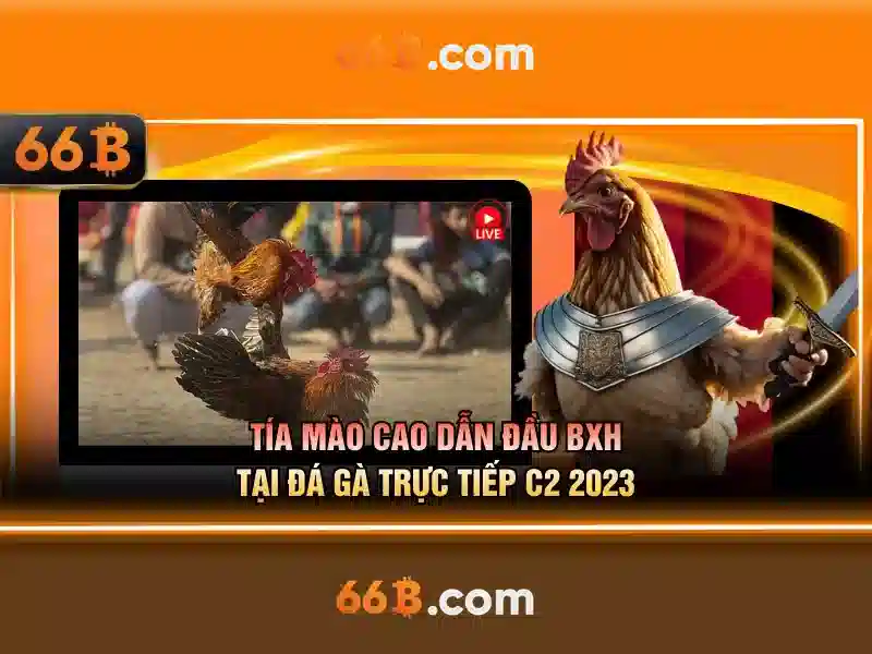  nhà cái uy tín - 66B