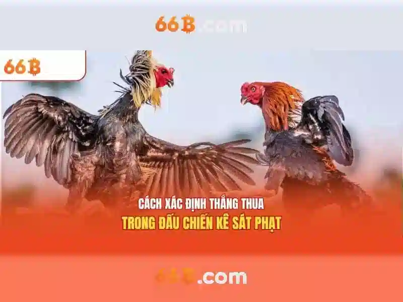  Slot chất lượng - 66B