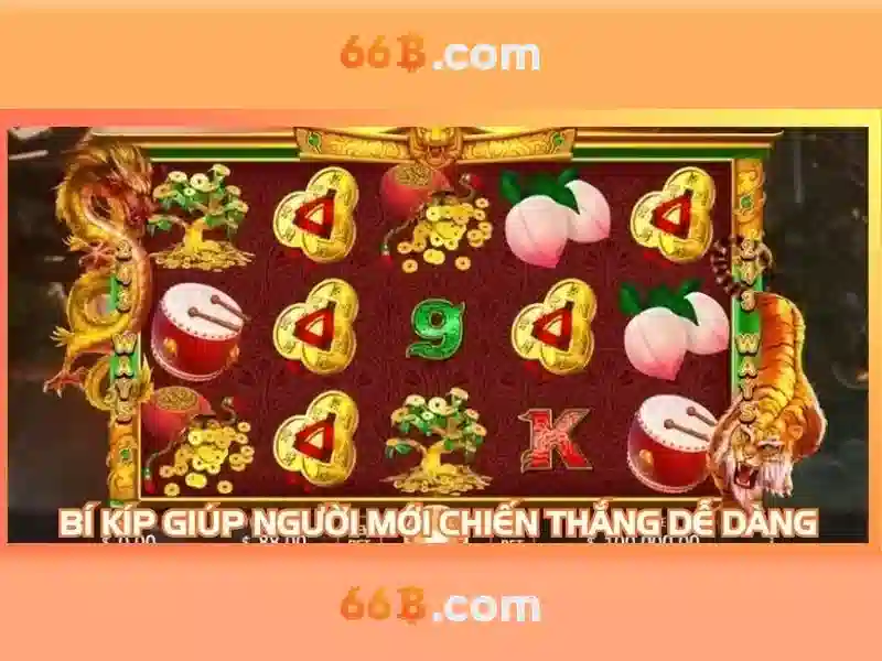  cá cược Slot - 66B