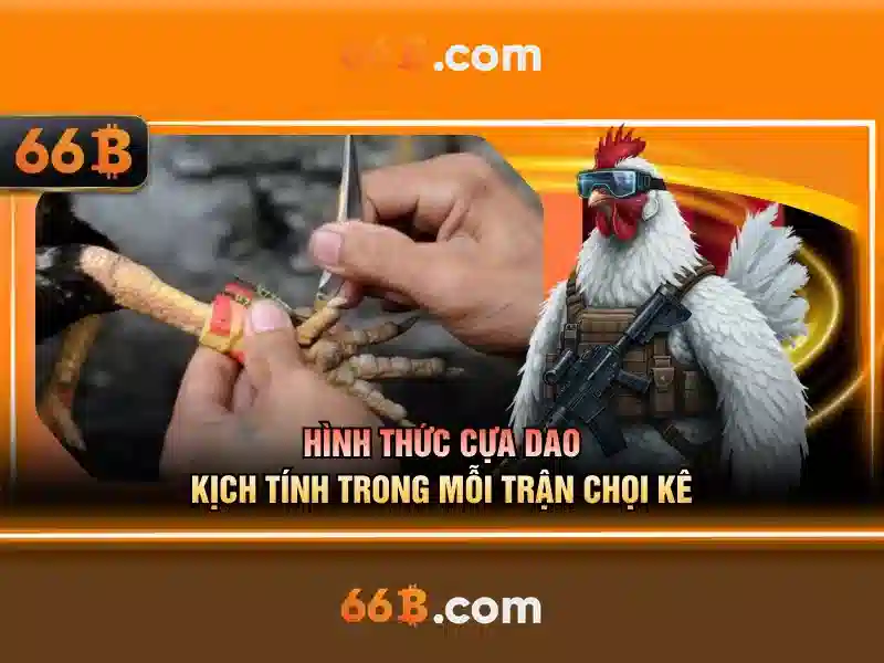  ứng dụng di động - 66B