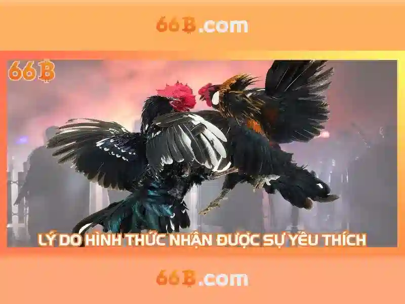 66B – Ưu Đãi 66b Tặng Tiền, Trải Nghiệm Slot Đỉnh Cao 2026 - 66B