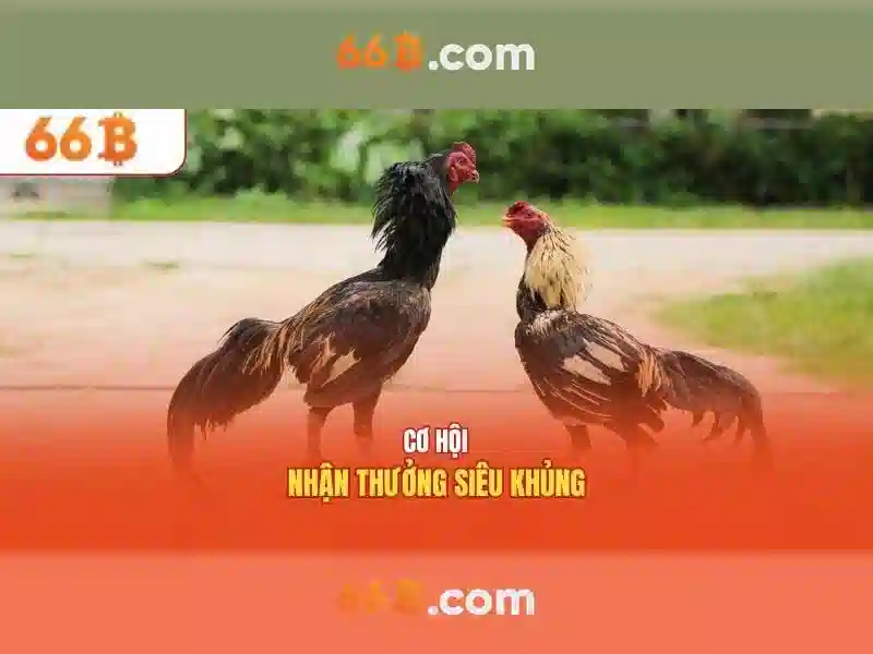  chính sách Slot 2026 - 66B