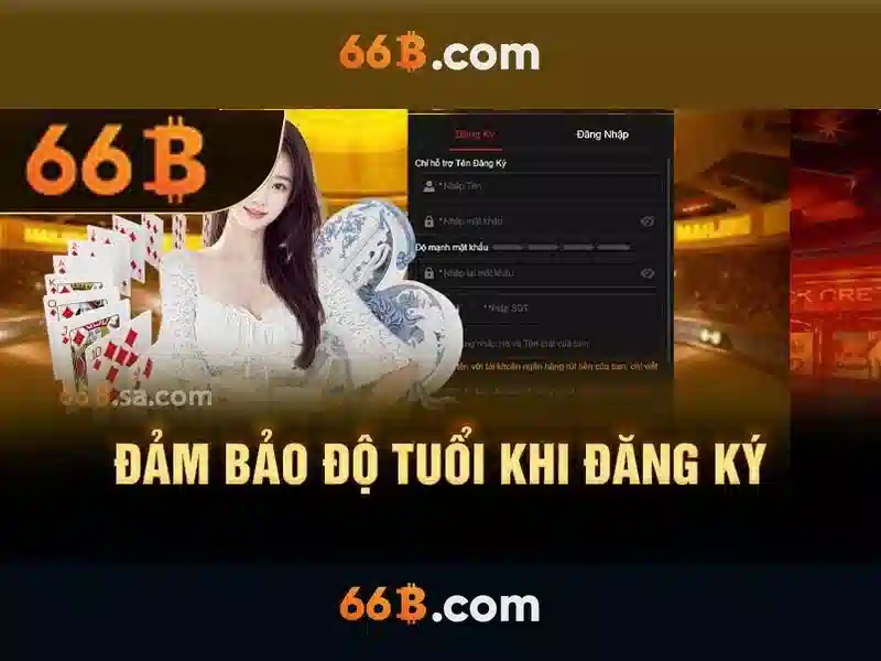  điều khoản sử dụng - 66B