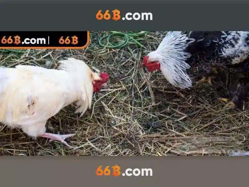 Hướng dẫn đổi IP dễ dàng để vào 66B mọi lúc, mọi nơi - 66B