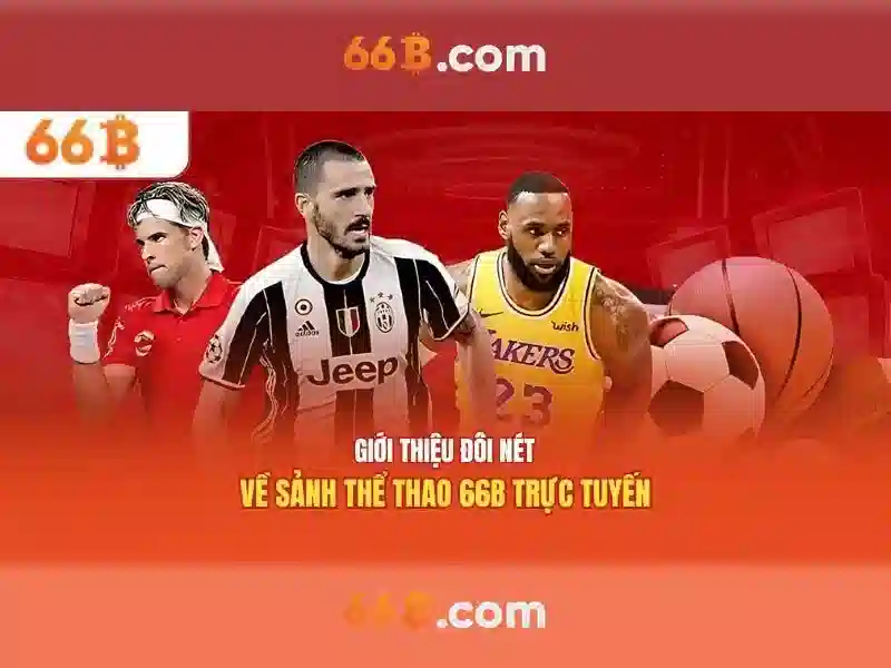 dịch vụ cá cược - 66B