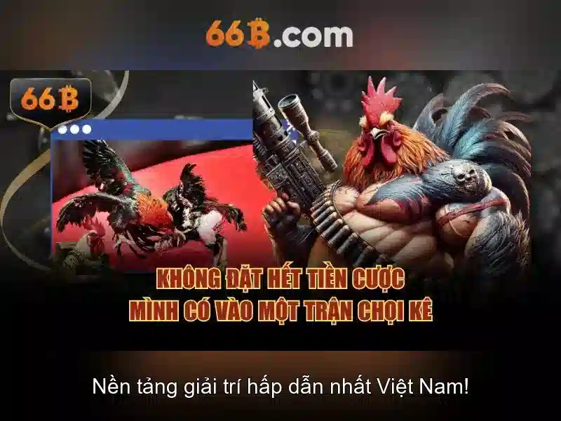  dịch vụ slot - 66B