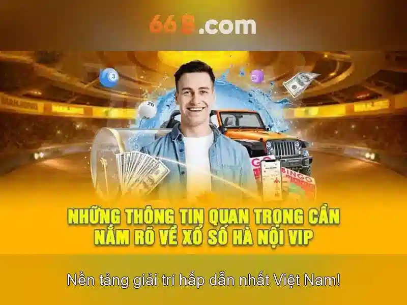 ví điện tử - 66B