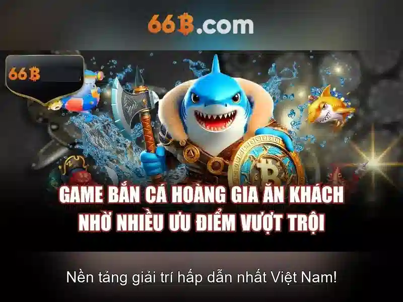  66b chuyên nghiệp - 66B