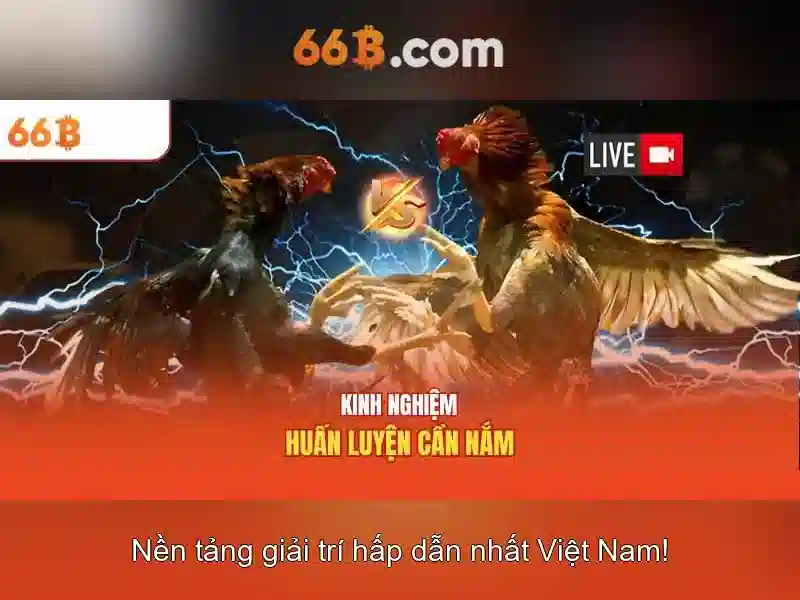 Đăng Nhập 66B – Trải Nghiệm Slot Đỉnh Cao Với Phỏm 66B 2026 - 66B