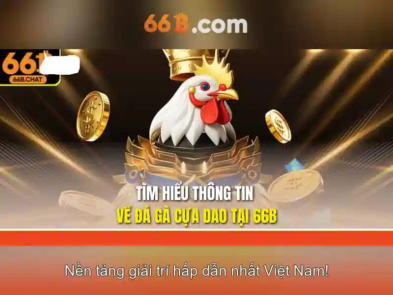 thưởng 66B - 66B