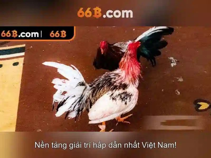 66B – Hướng Dẫn Đổi Mật Khẩu Slot Nhanh Chóng, An Toàn - 66B