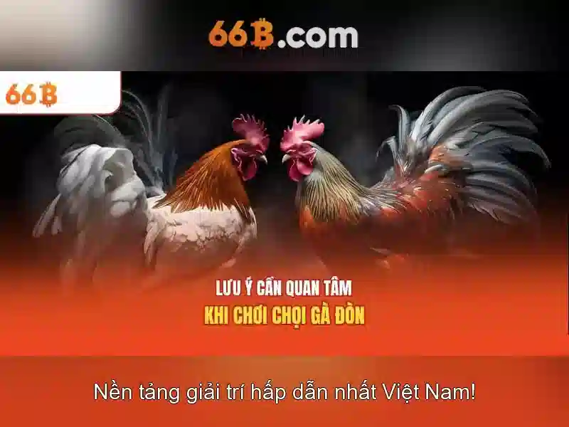 66b | Nền tảng cá cược trực tuyến đáng tin cậy và toàn diện