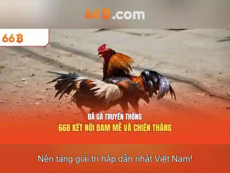  kinh nghiệm chơi Slot - 66B