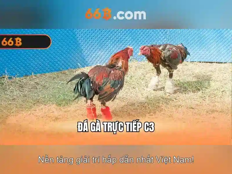  giải trí trực tuyến - 66B