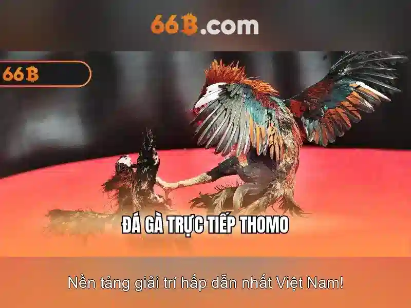  trang chủ 66B - 66B
