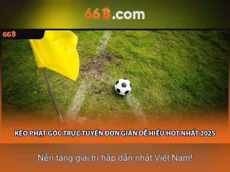  quy định cá cược - 66B