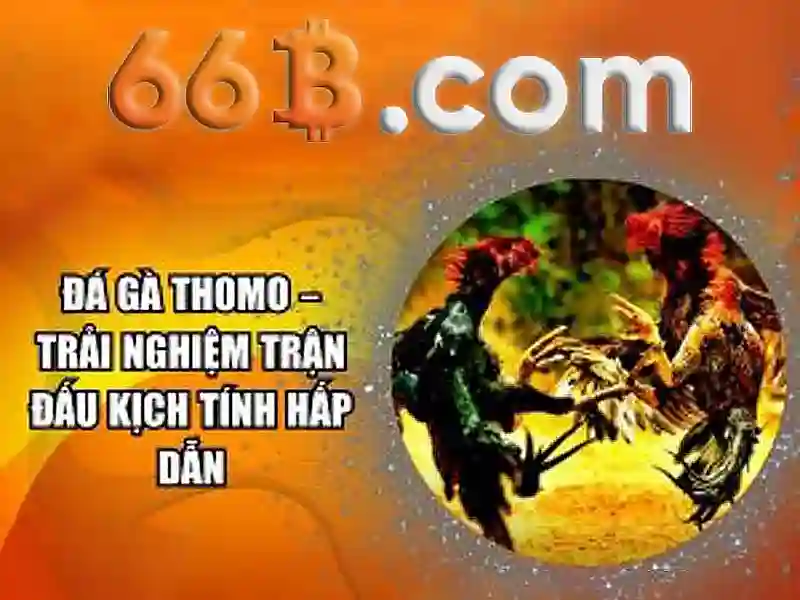  trang chủ 66B - 66B