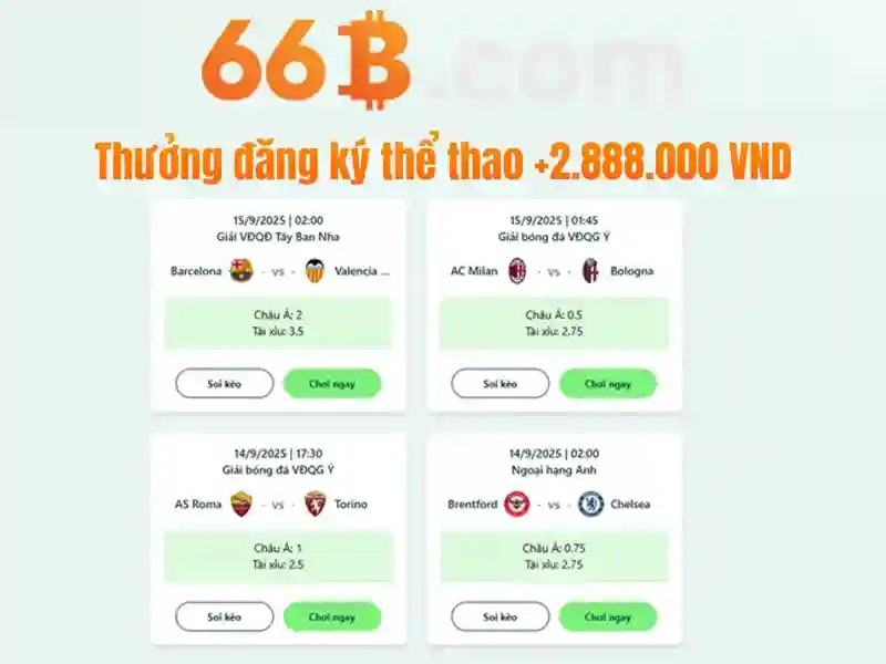  dịch vụ đẳng cấp - 66B