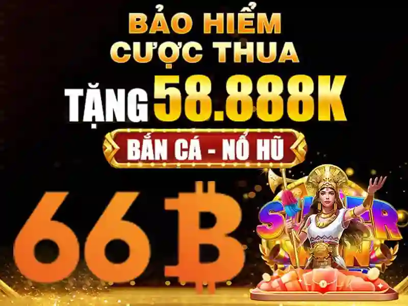 cá cược - 66B